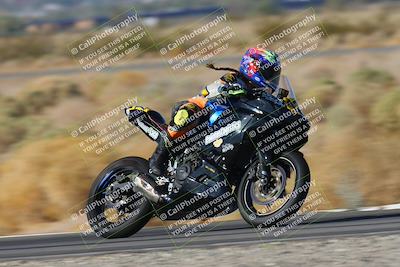 media/Nov-15-2024-CVMA Friday Practice (Fri) [[b142d29251]]/4-Group 4 and Trackday/Session 1 (Turn 14 Speed Pans)/